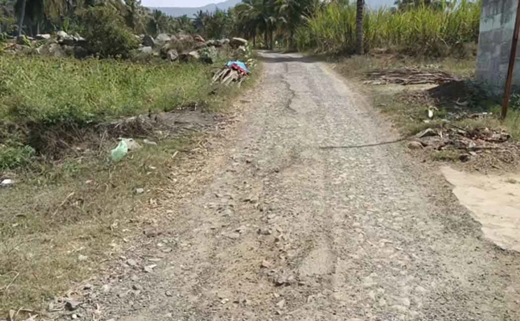 People are struggle by posting notices in a different way demanding  repair road 