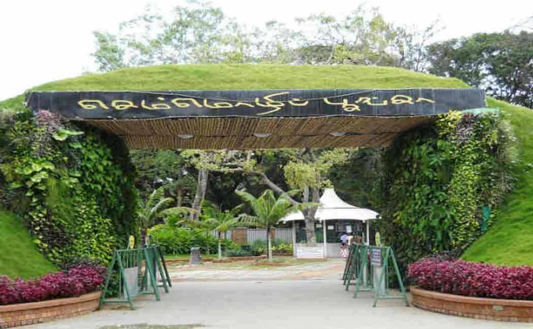 Flower exhibition at Chennai Semmozhi Park starts today