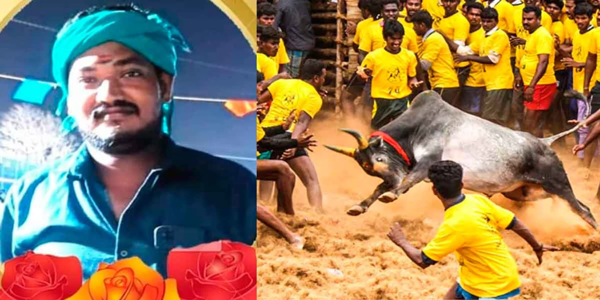 A youth who went to see Jallikattu was lose their live by a bull