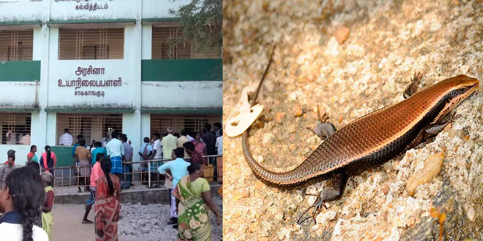 Aranai at lunch; 3 employees suspended