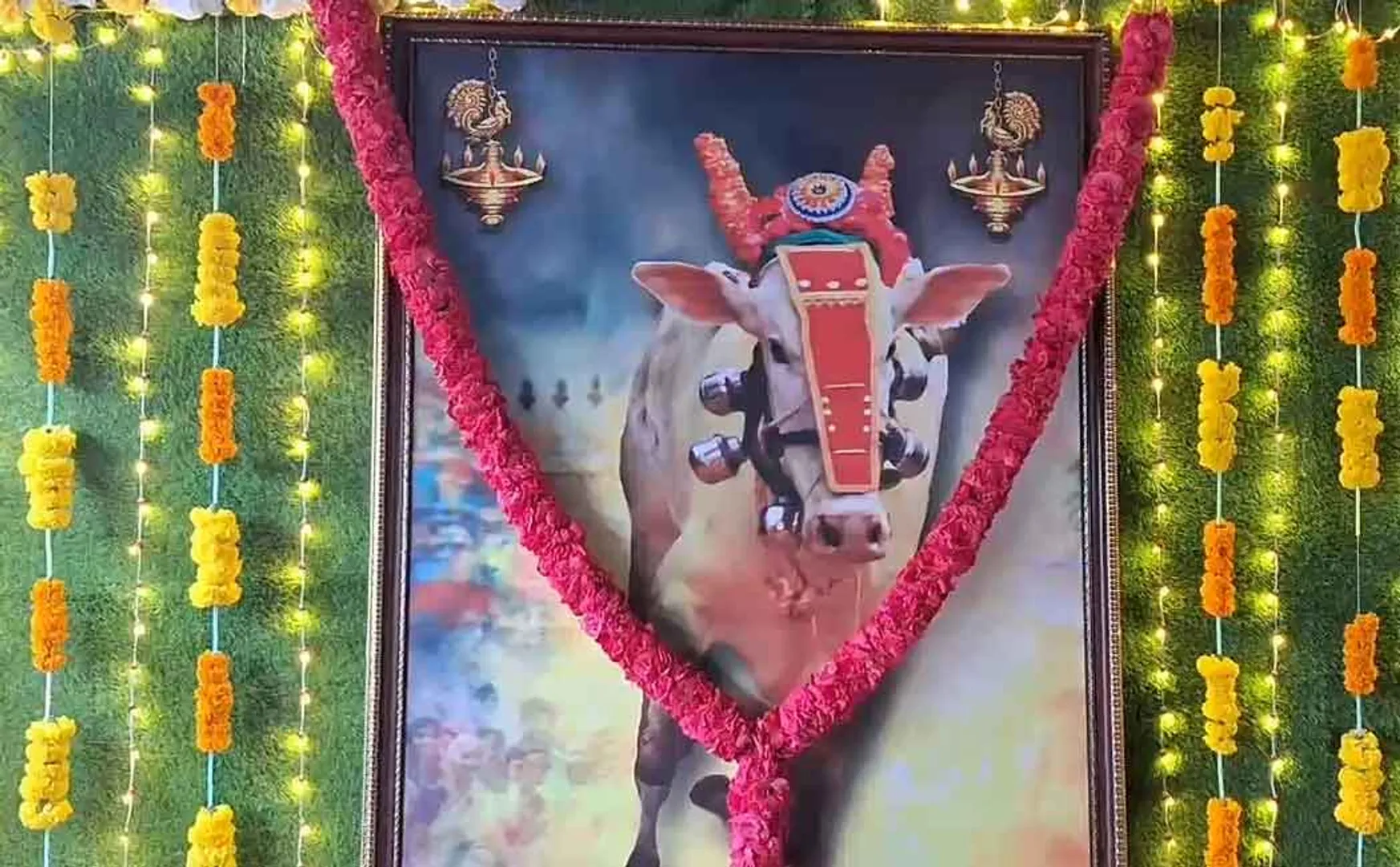 family sheds tears after passed away of a raging bull in a Manjuvirattu