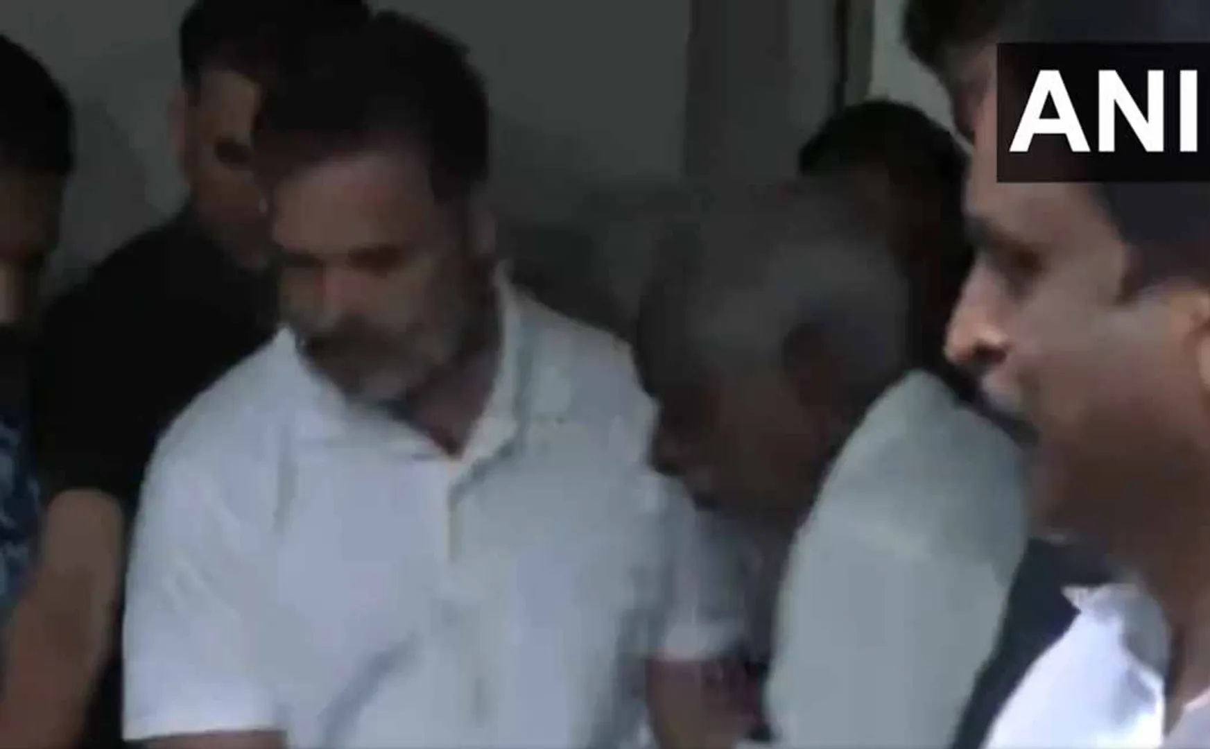 3 people incident wild animal issue Rahul Gandhi consoled in person