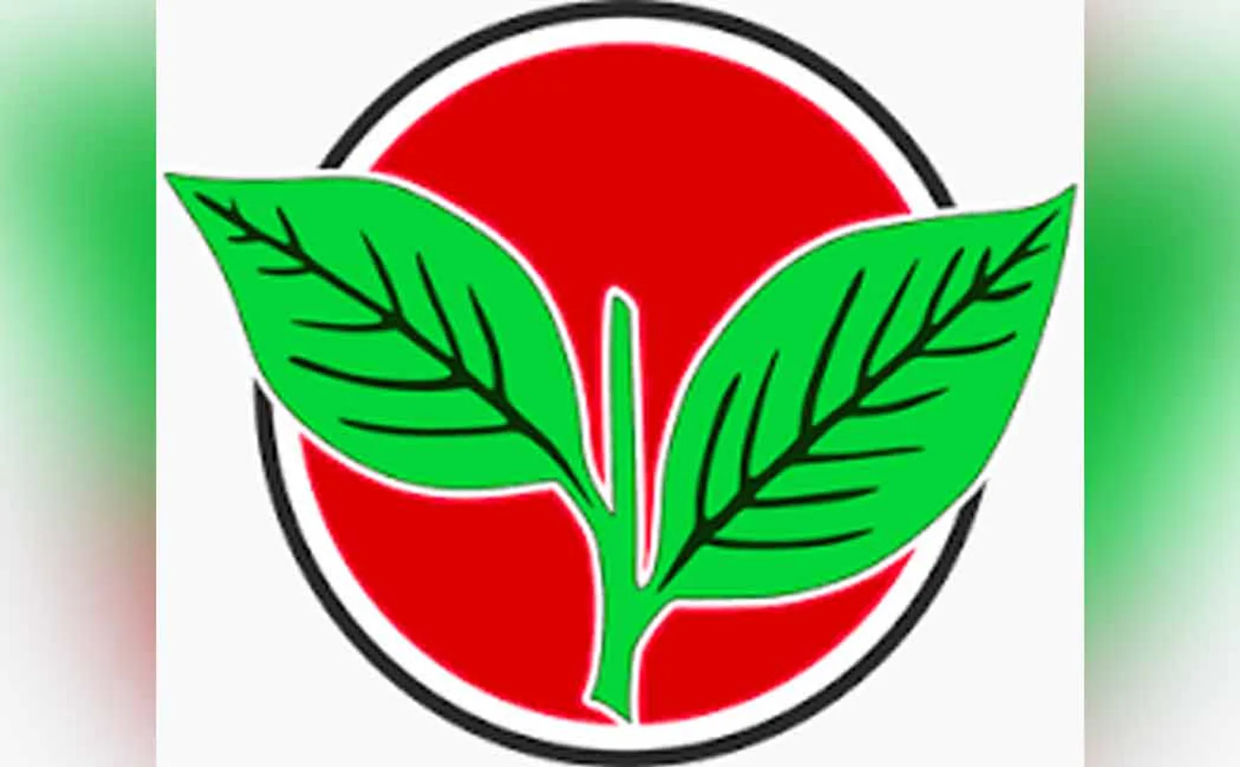 A new case in the High Court against the double leaf symbol