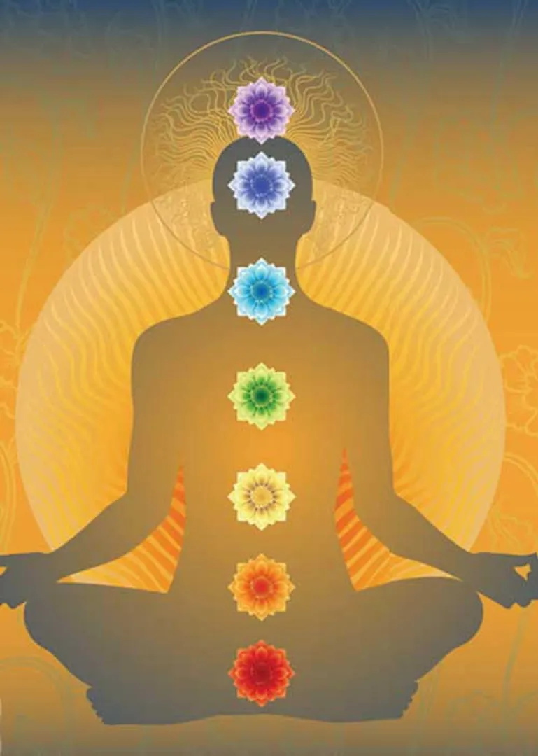 /idhalgal/balajothidam/your-body-your-house-new-vastu-shastra-2-lalgudi-gopalakrishnan