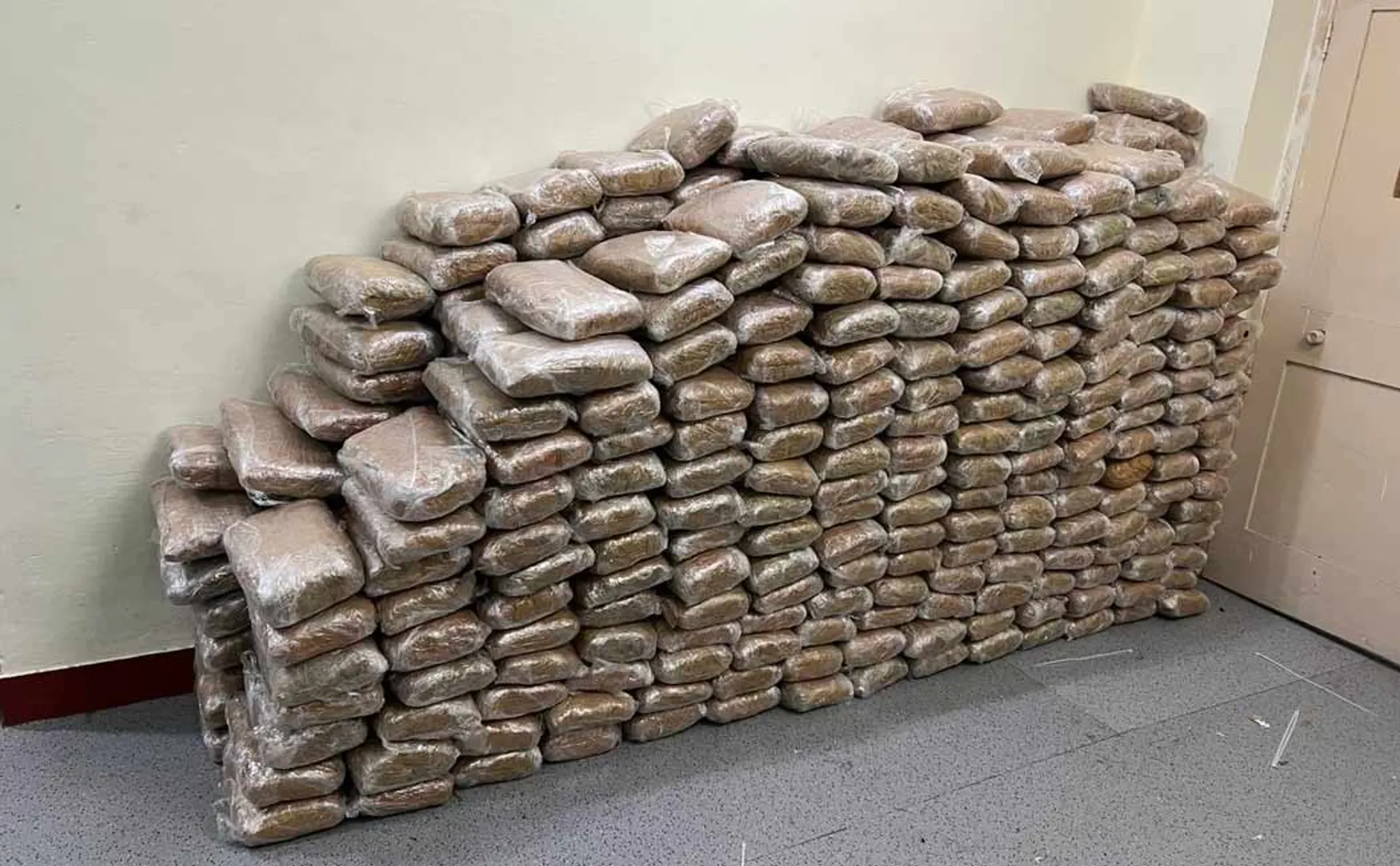 cannabis worth Rs 112 crore seized near Mimisal