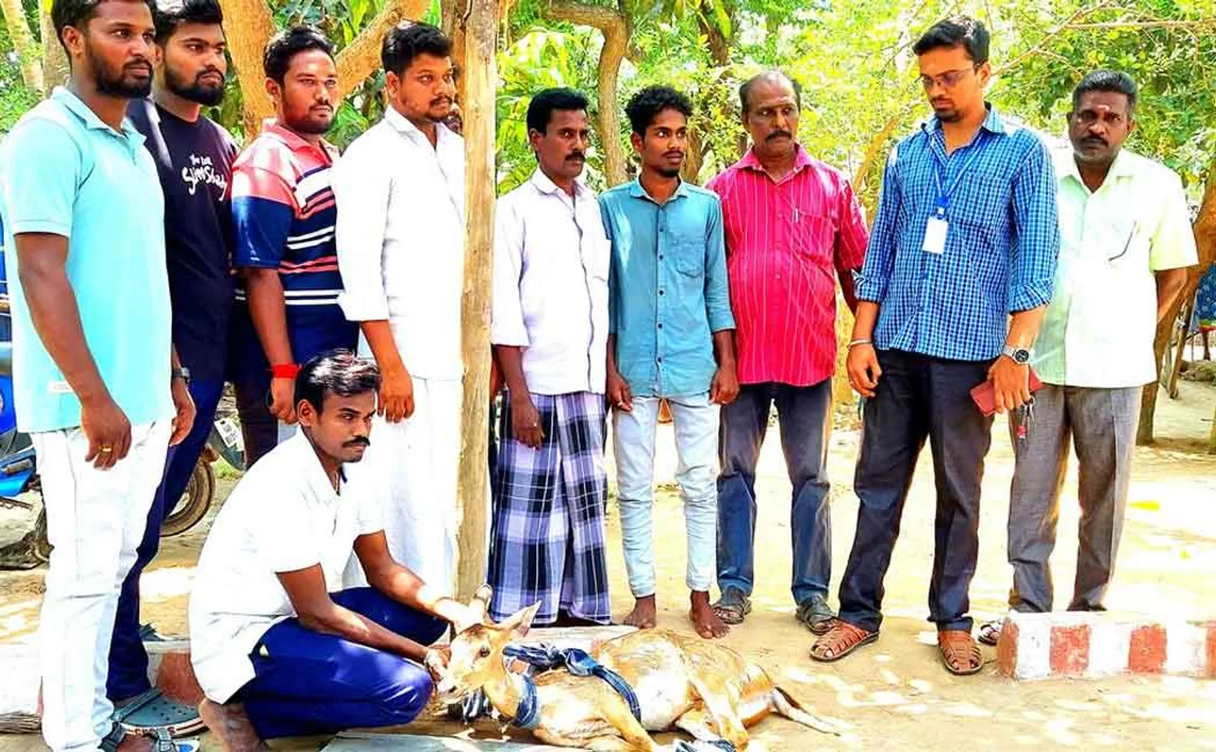 Tragedy of wild animals lost life in search of water