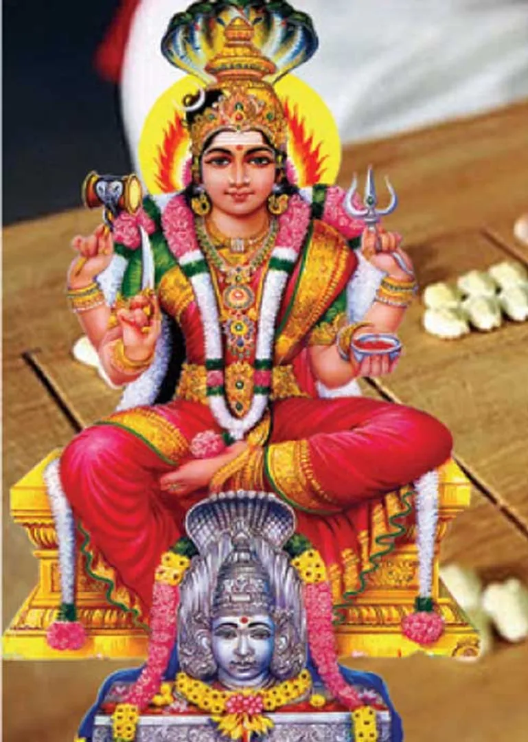 /idhalgal/balajothidam/does-prasanna-astrology-work-astrologer-praveena-s-vijayanarasimhan