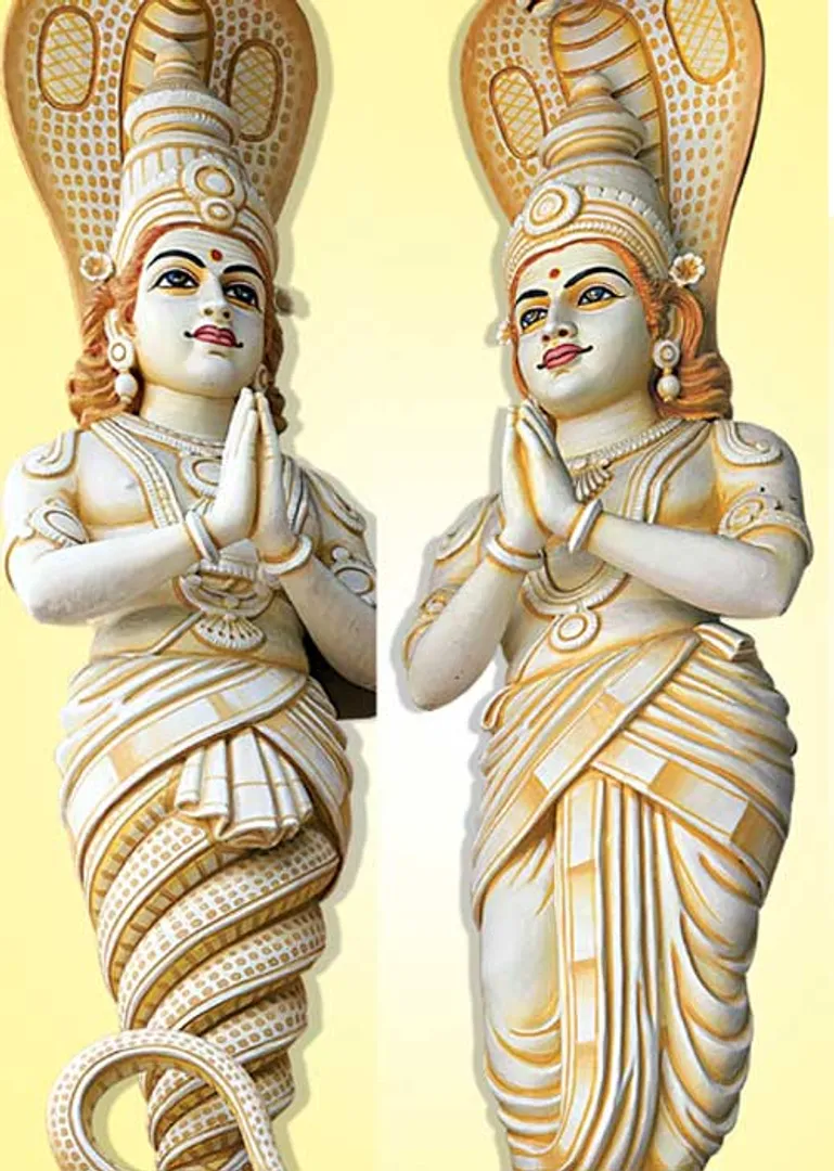 /idhalgal/balajothidam/remedies-be-done-rahu-solve-problems-suriyajayavel
