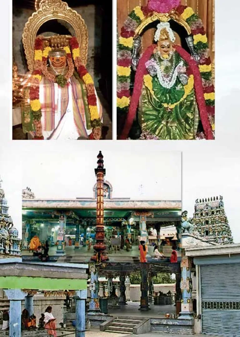 /idhalgal/om/choiseswaraswamy-who-made-experiments-success-coimbatore-arumugam