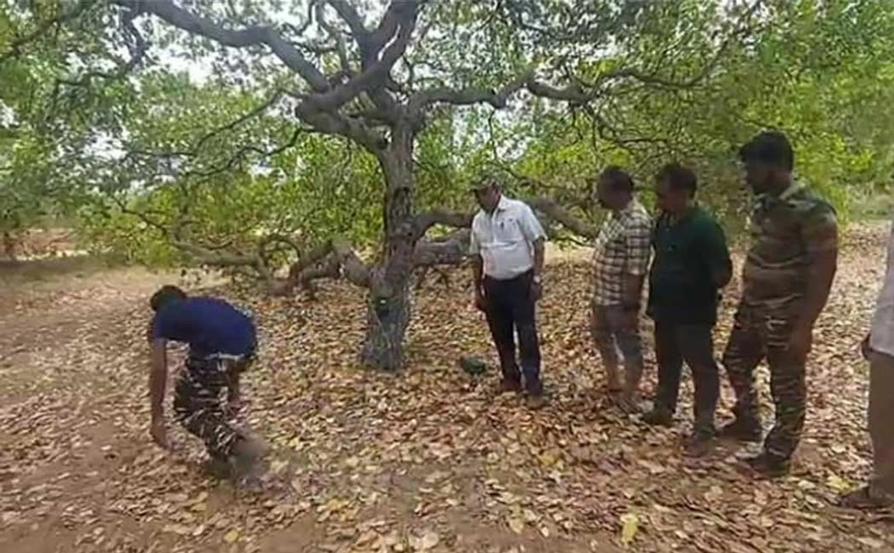  forest department is struggling to catch the elusive leopard