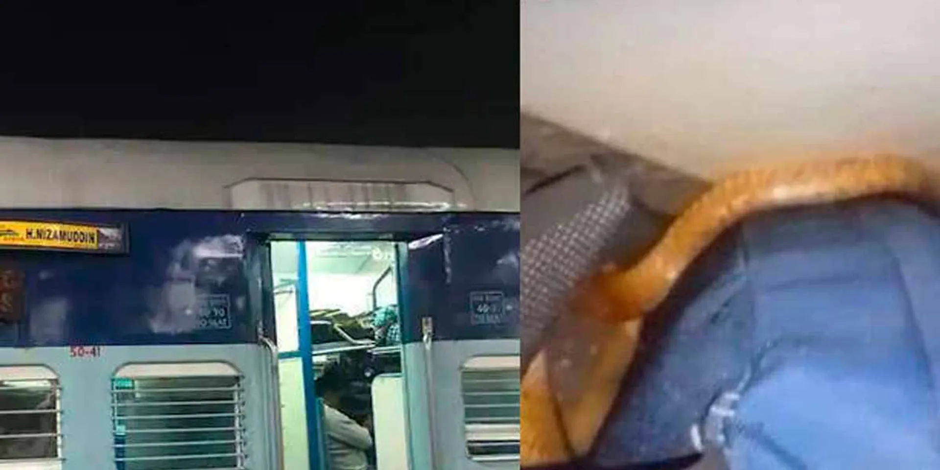 A snake that entered the train; Tragedy befell the young man