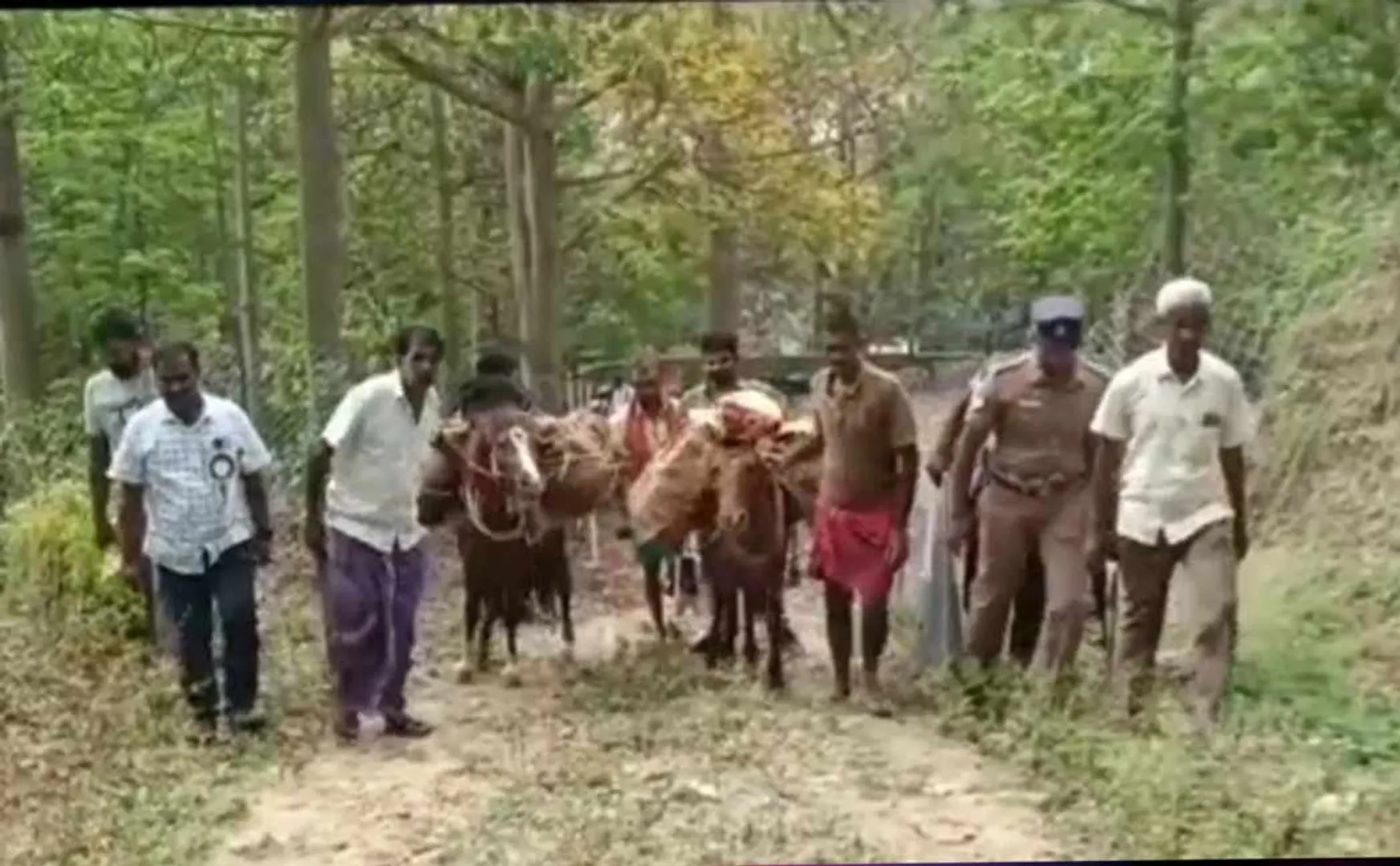 Delivery of ballot boxes by horse to the villages of theni Hill