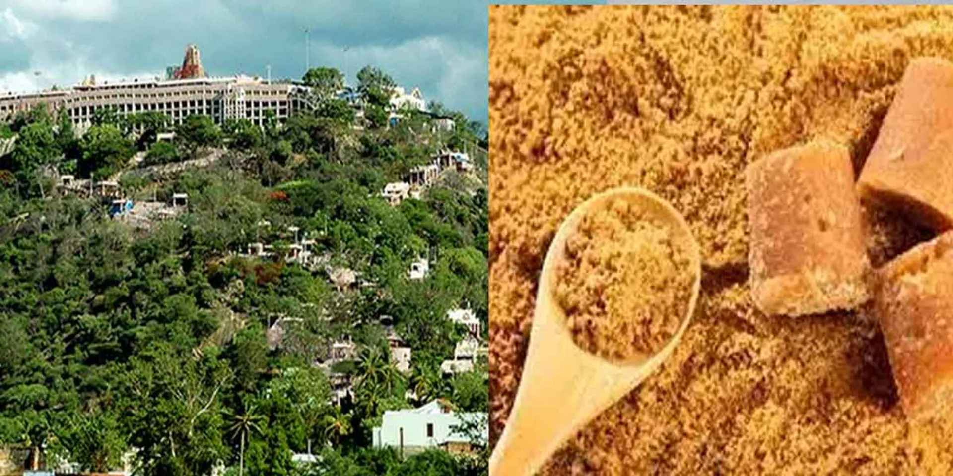 Procurement of native sugar for Palani Murugan temple