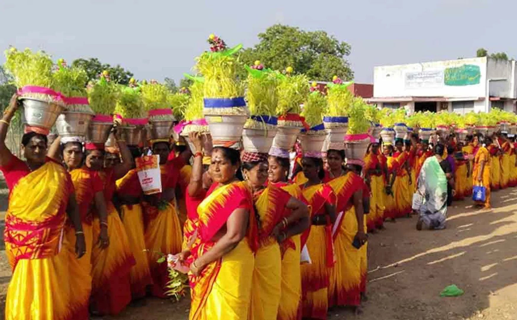 women who took sprouts raised by transgender woman to Amman Koil and worshipped them 