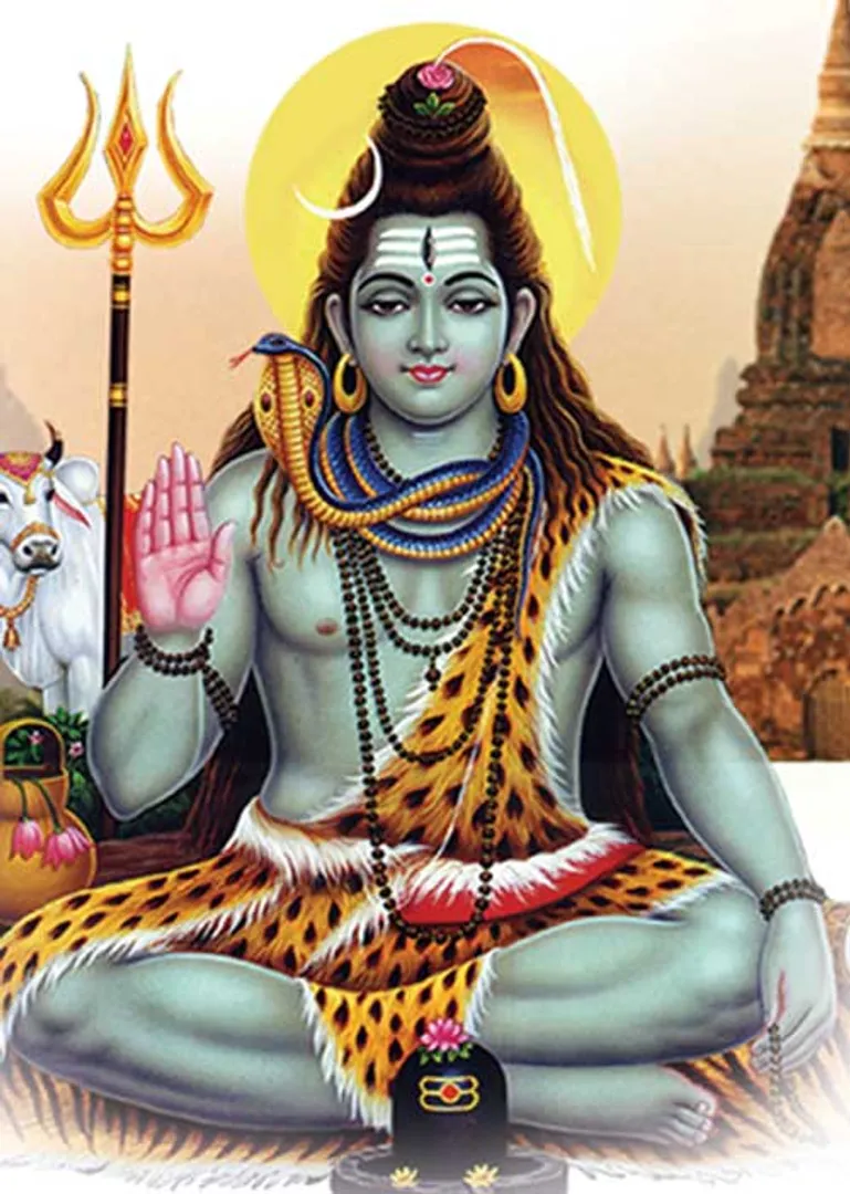 /idhalgal/balajothidam/are-assets-also-bad-how-address