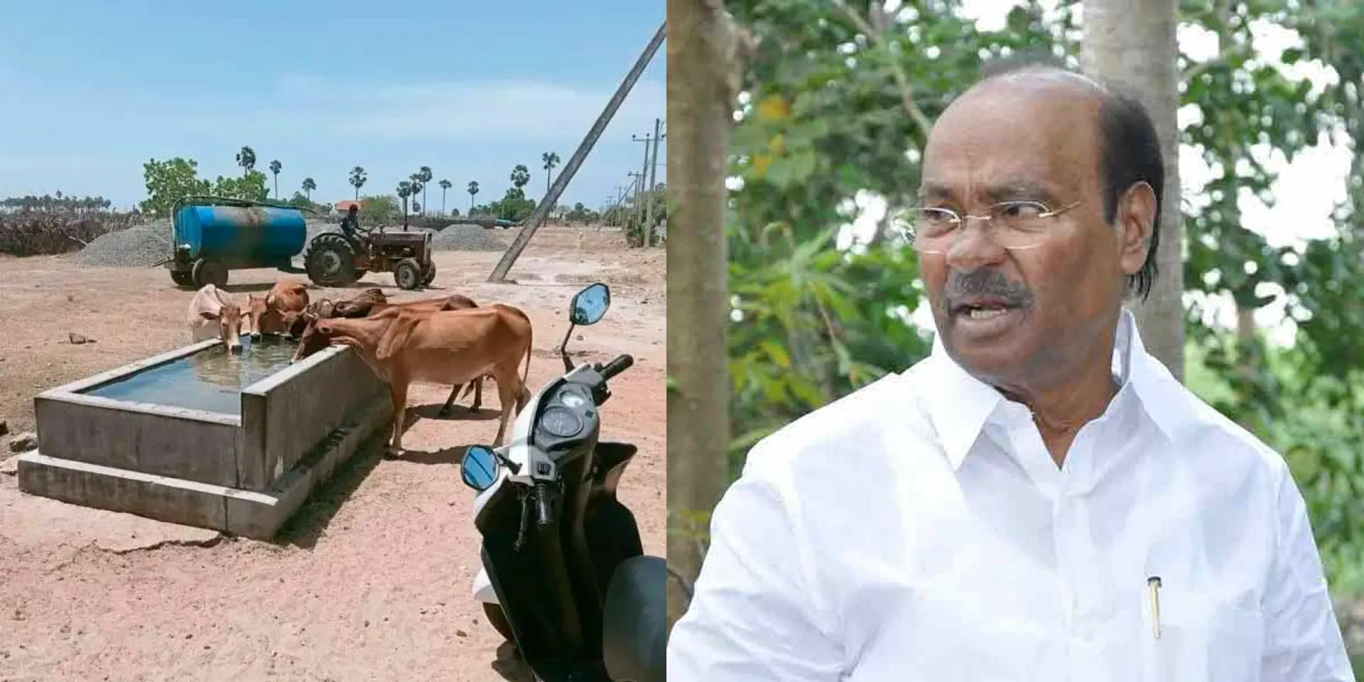  'Water tanks should be set up for cattle' - Ramadas insists