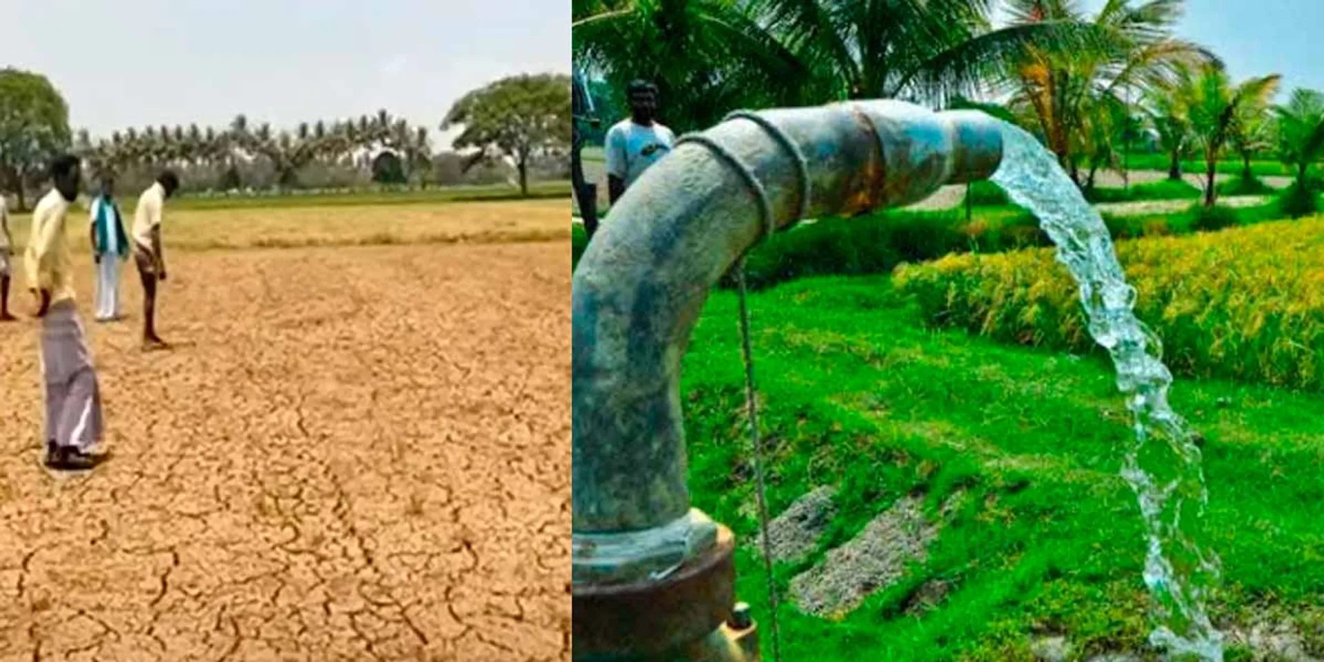 Tamil Nadu Govt Explains 'Three Phase Electricity Not Fully Provided'