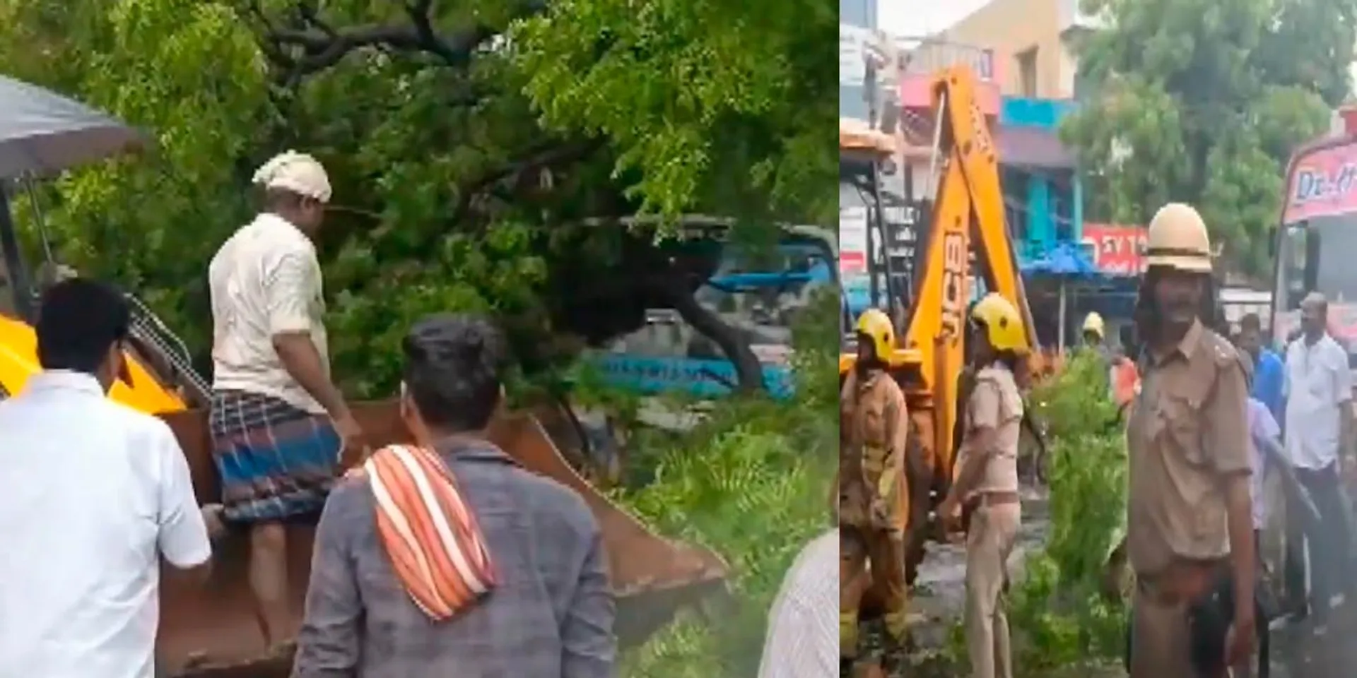 Giant neem tree falls accident; Traffic disruption in Mettur