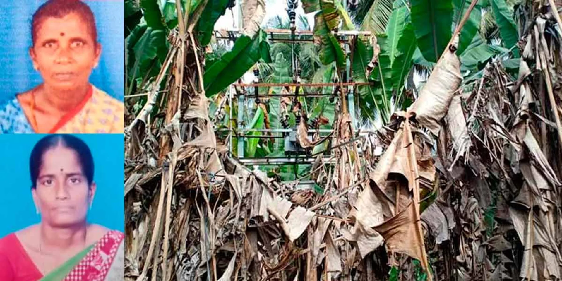 downed electric wire; Tragedy befell those who went to fertilize the garden