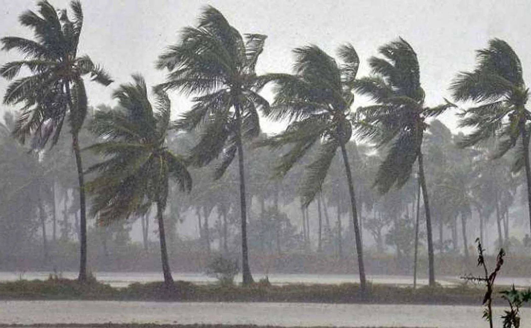 "Chance of rain with strong winds" - Meteorological Department warning