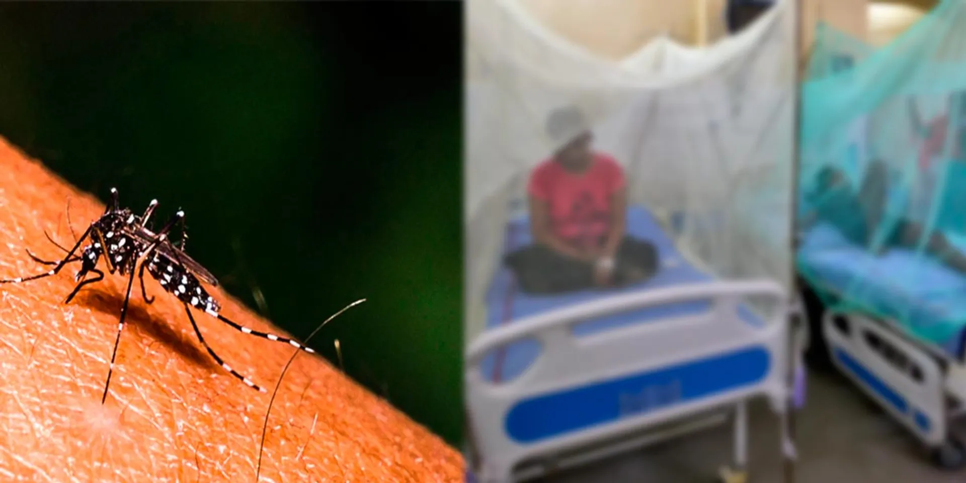  Increasing dengue; Alert for 8 districts