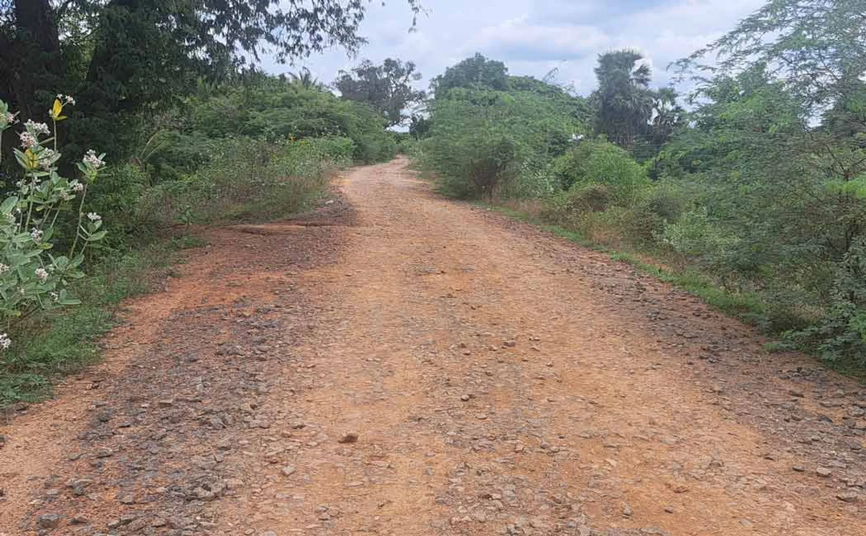 Public demand to complete Kollidam left bank road as soon as possible