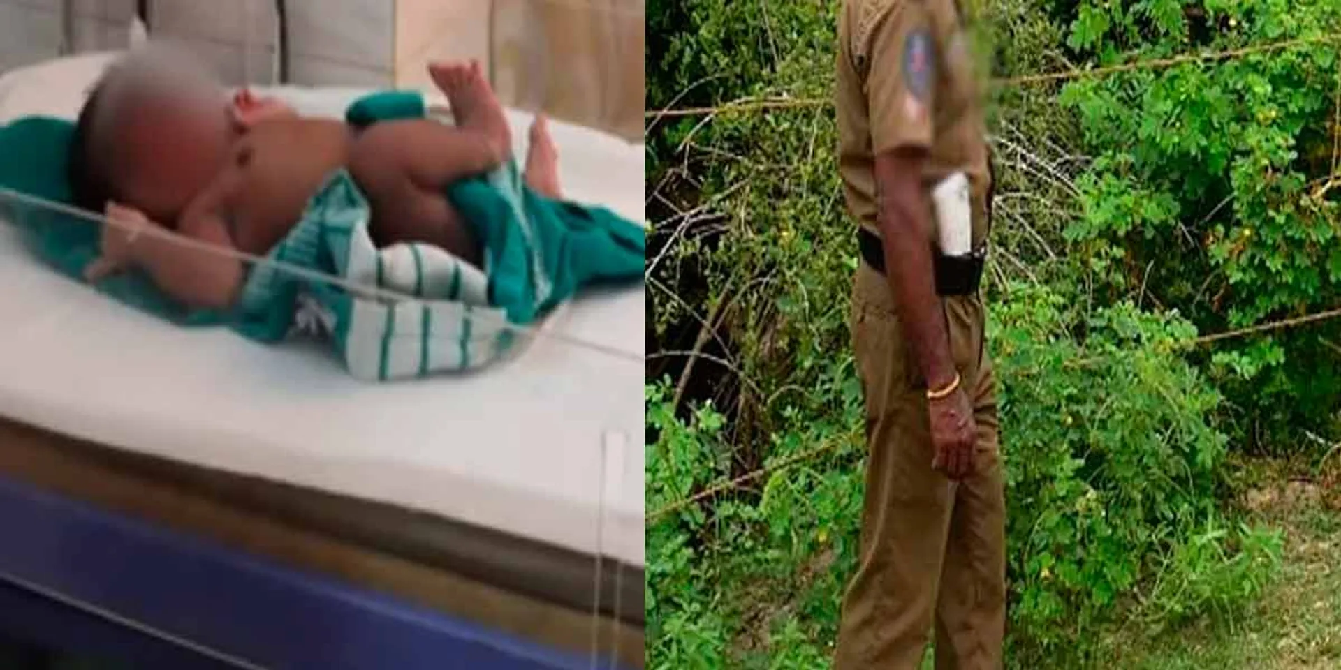 Rescue of a baby thrown in a thornbush