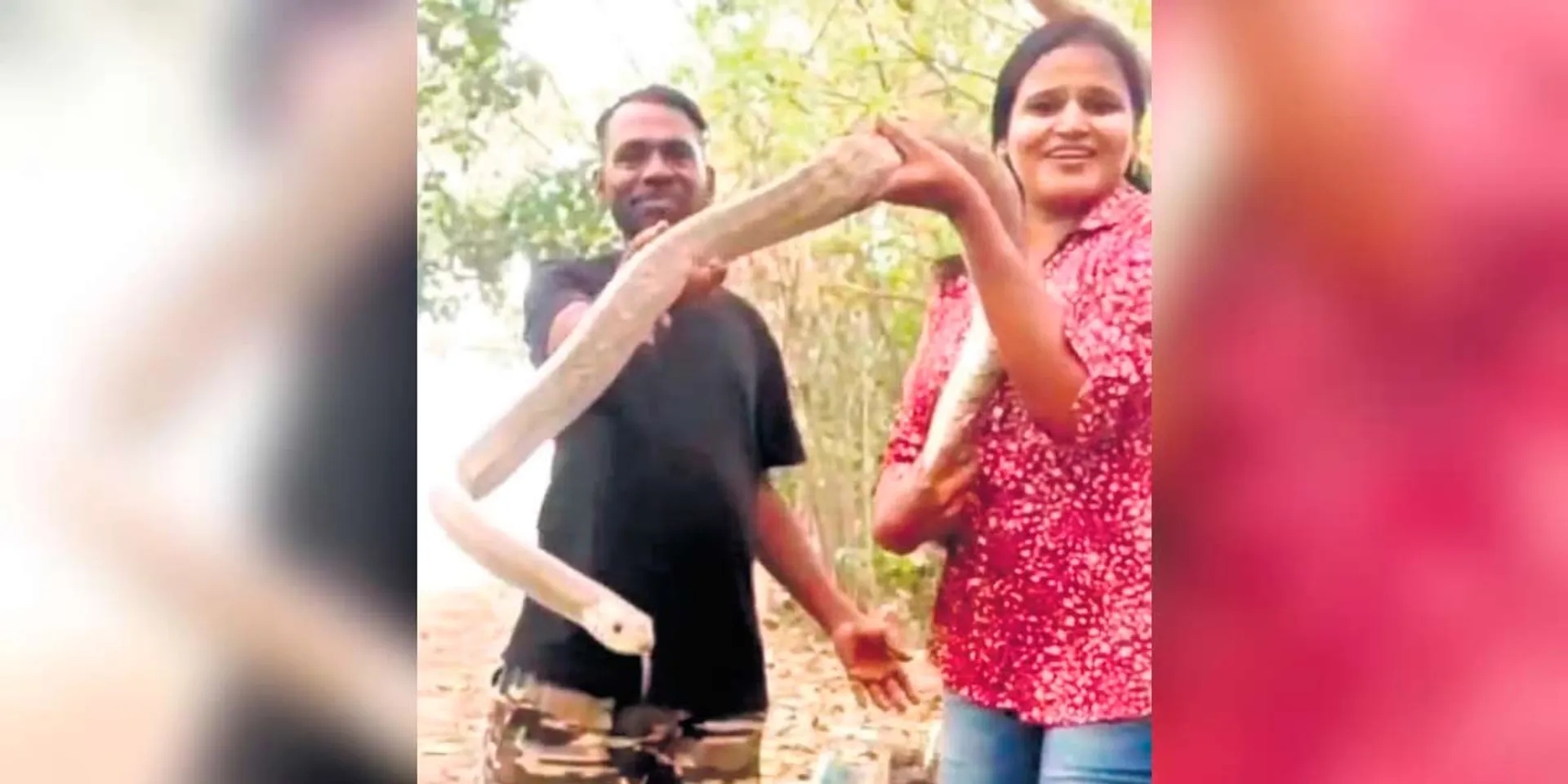 Woman caught holding snake and posted video arrested