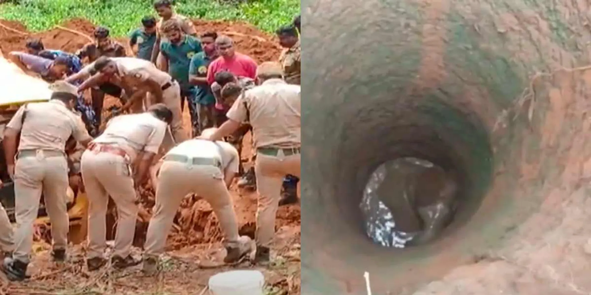 A baby elephant that fell into a well; Forest Department struggling to recover