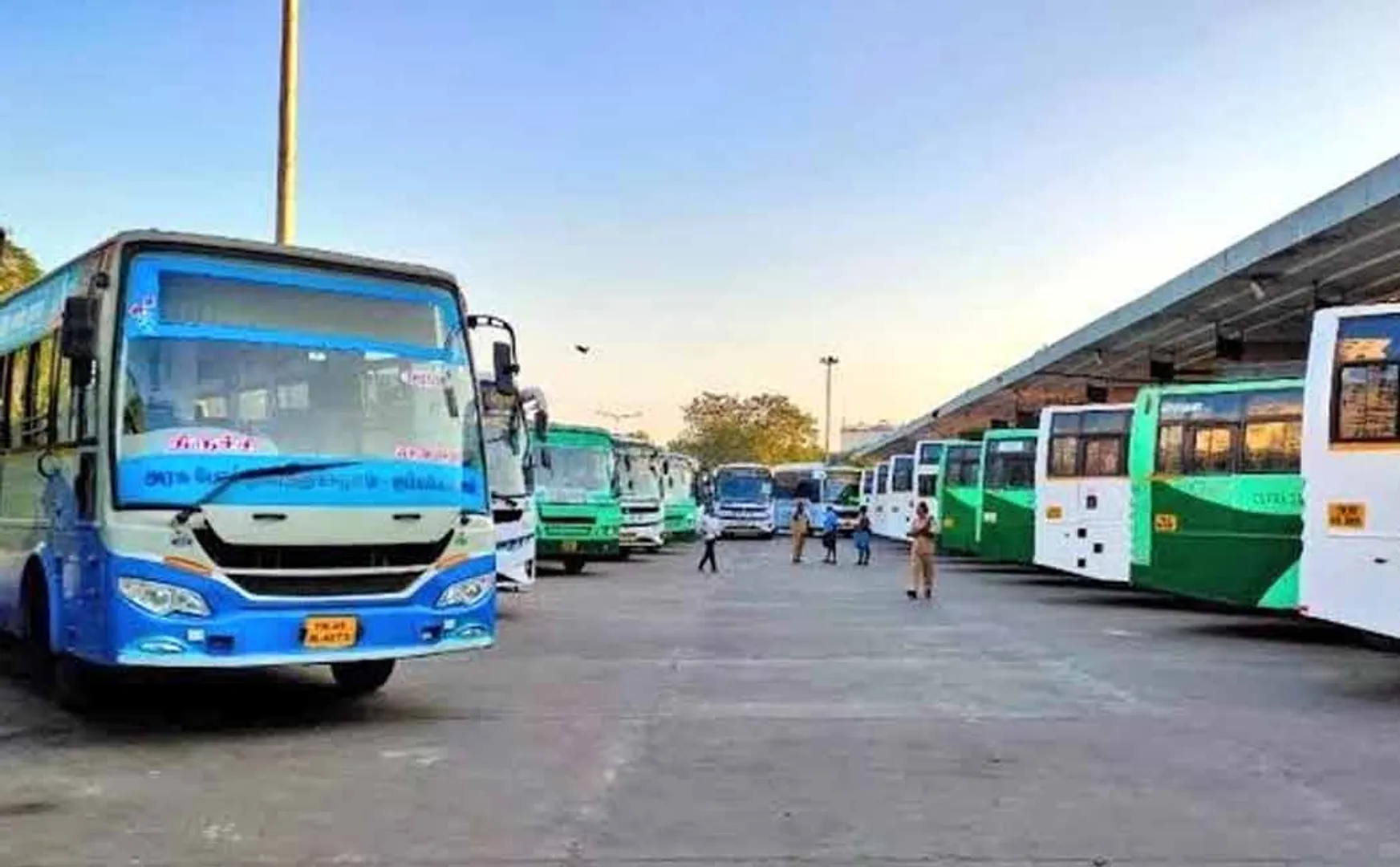 Additional special buses run