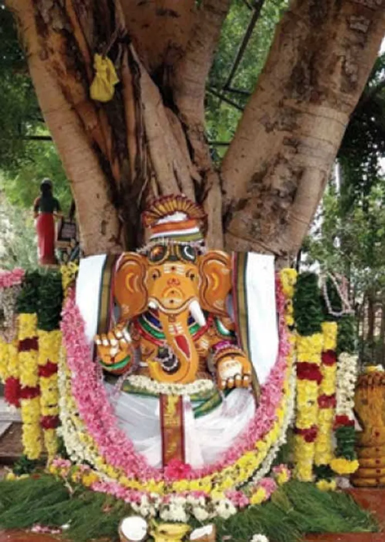 /idhalgal/balajothidam/govt-leaf-deepa-worship-gives-life-kubera-b-balajiganesh