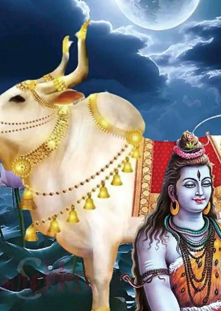 /idhalgal/balajothidam/week-rasi-12-5-2024-18-5-2024