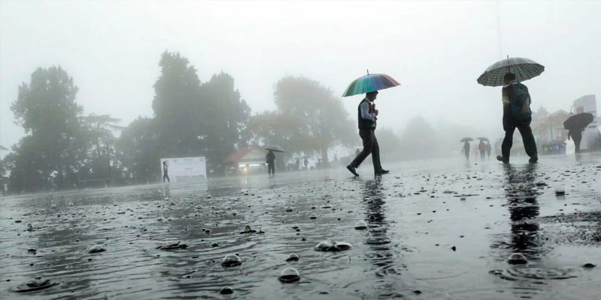 Chance of heavy rain in 11 districts