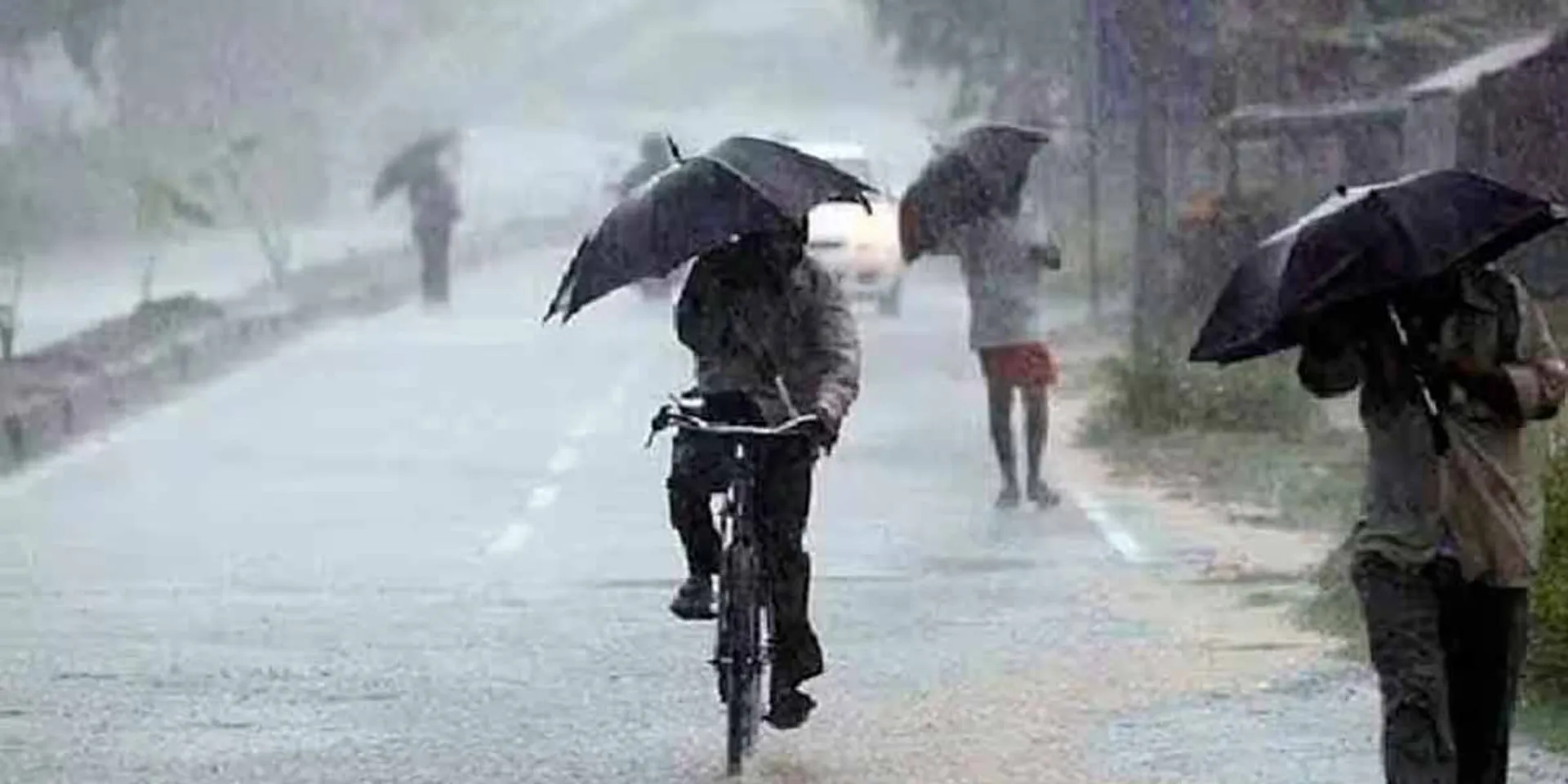  Rain in 4 districts in next three hours