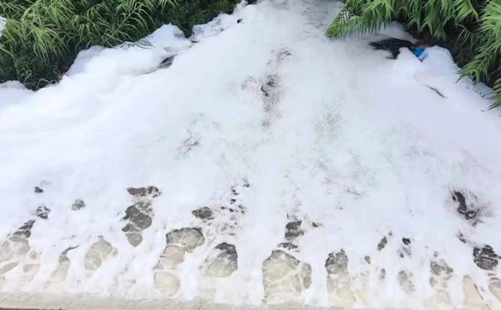 balaru  river forming with wastewater released from industries using the heavy rain