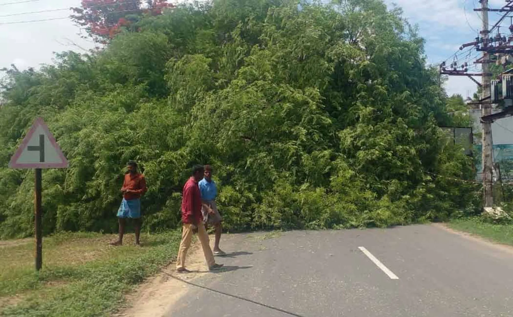 100-year-old tamarind tree fell due to heavy rains at dawn