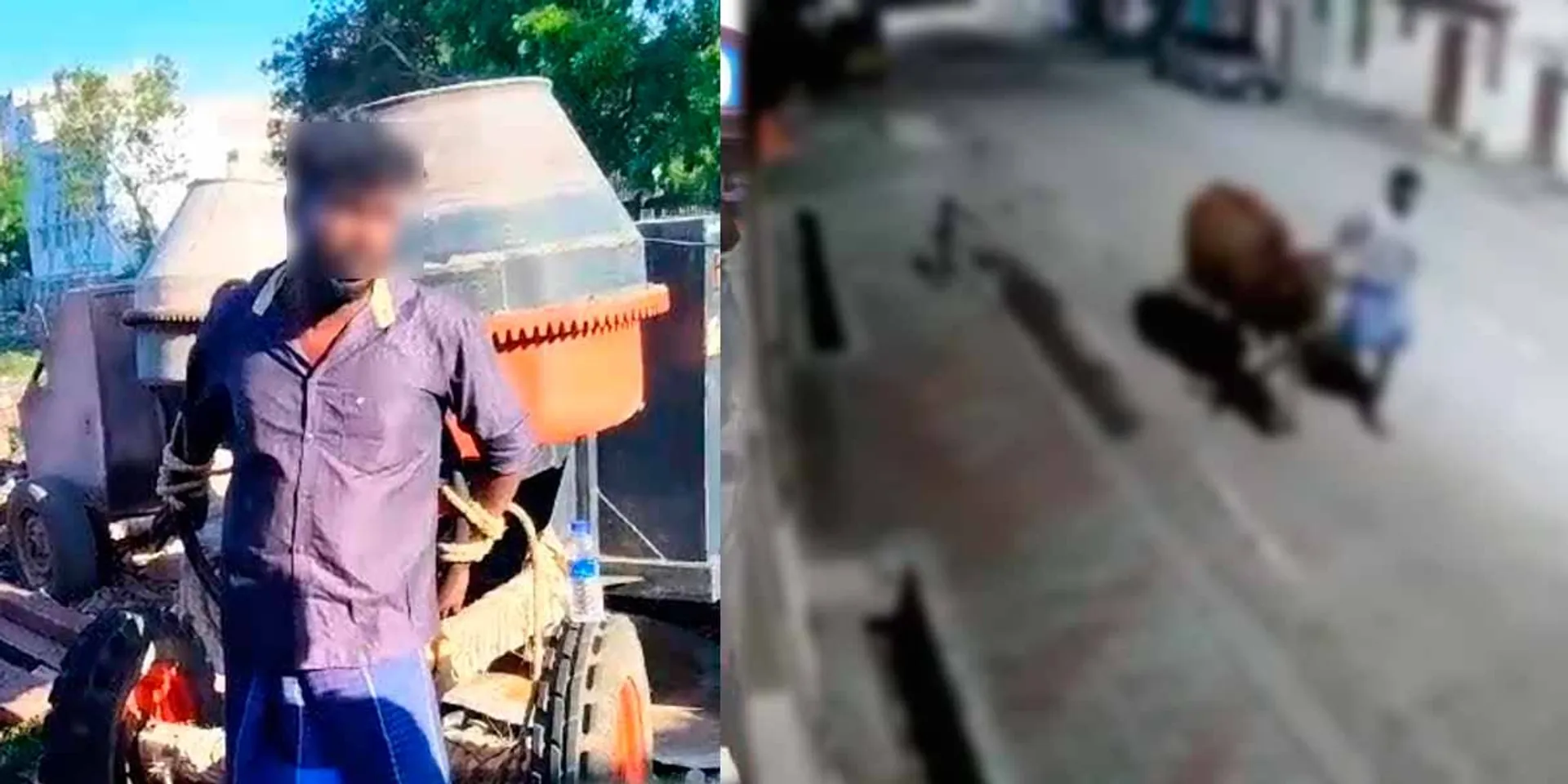  The man who stole a cow and sold it in the market was caught and tied up!