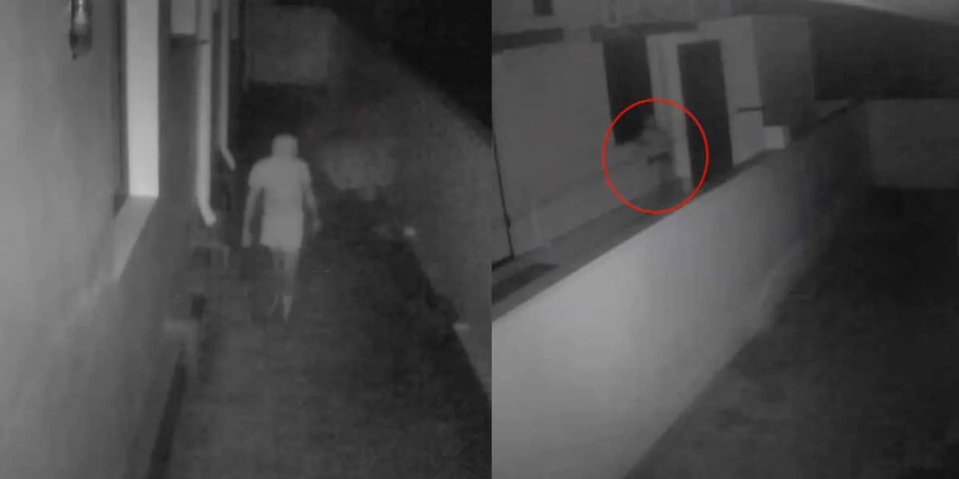Movement of window thieves; Temple bar in fear