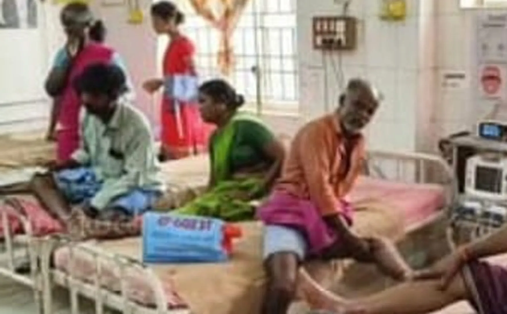 14 people were admitted to the hospital on Increasing stray dog ​​nuisance