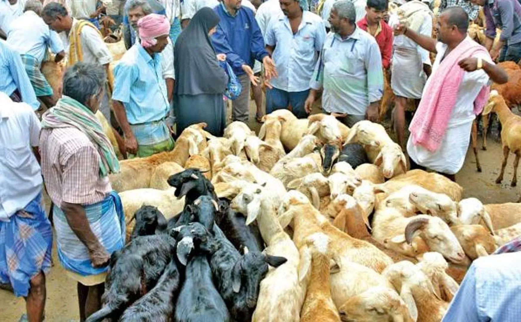 Sale of goats worth more than one crore rupees in goat market in thirupattur