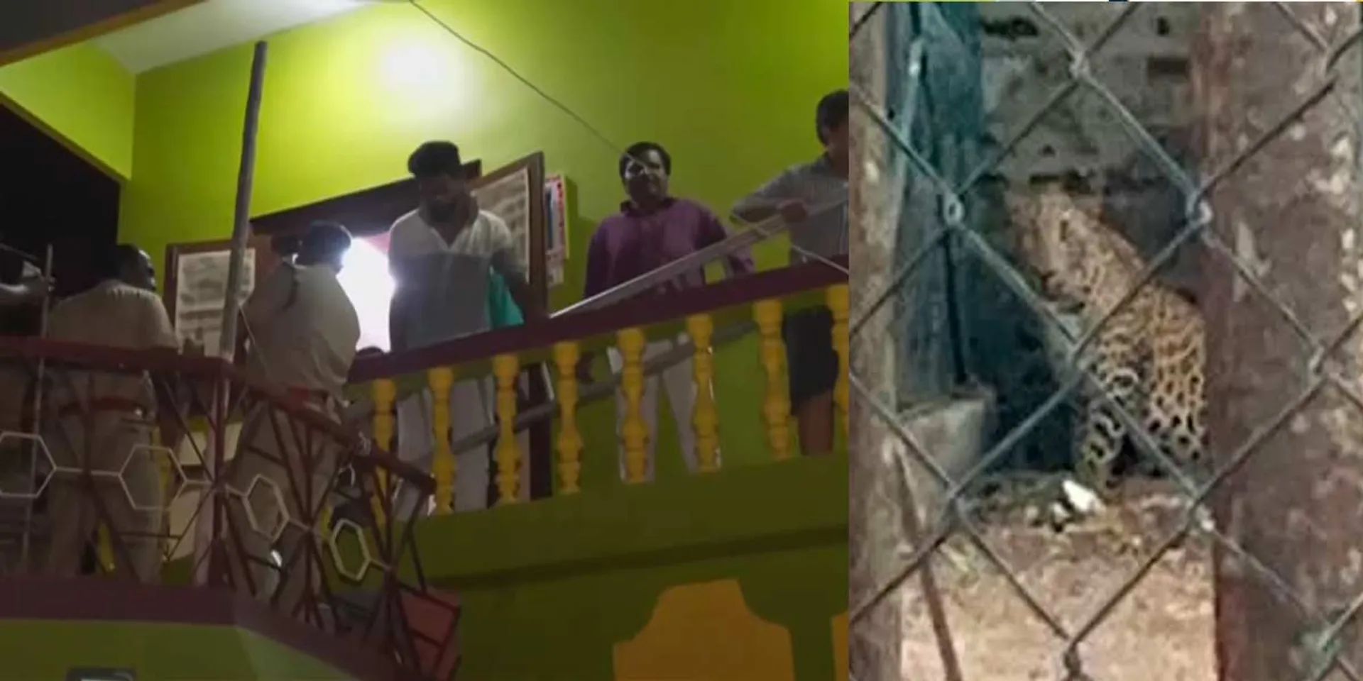 Leopard threat; Rescue of 5 people trapped inside the car shed