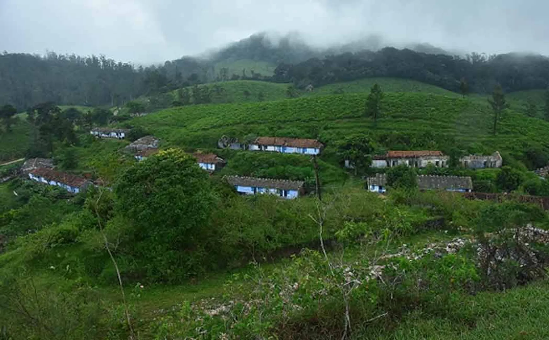 plight of the people of Manjolai Estate