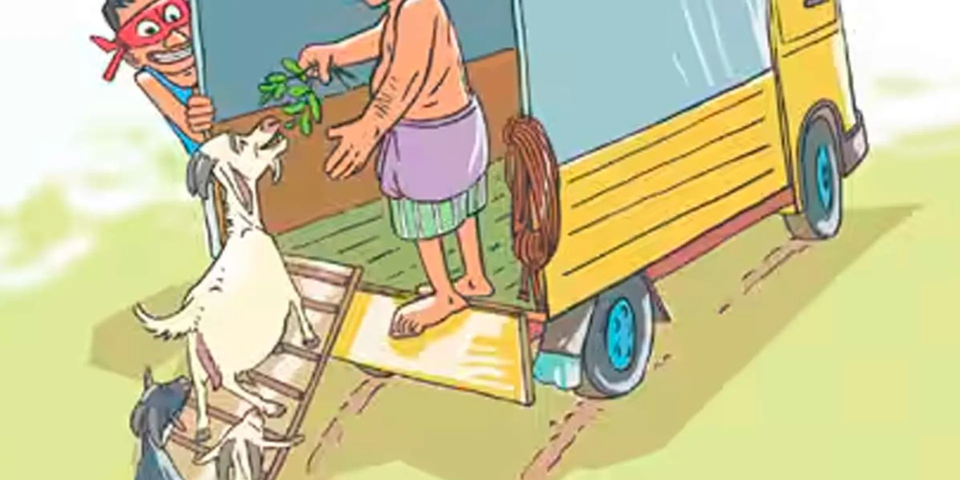  Farmers are afraid of gangs who keep stealing goats