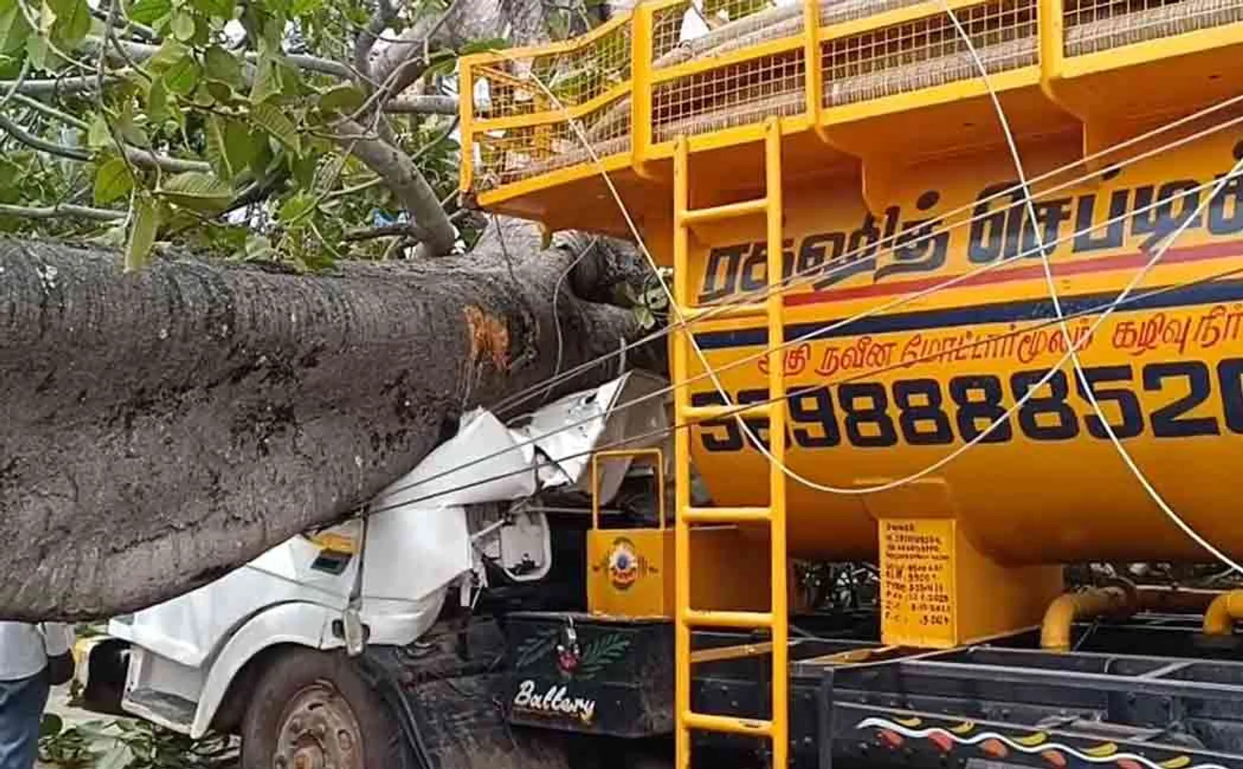 Two passed away in tree falls near Hosur