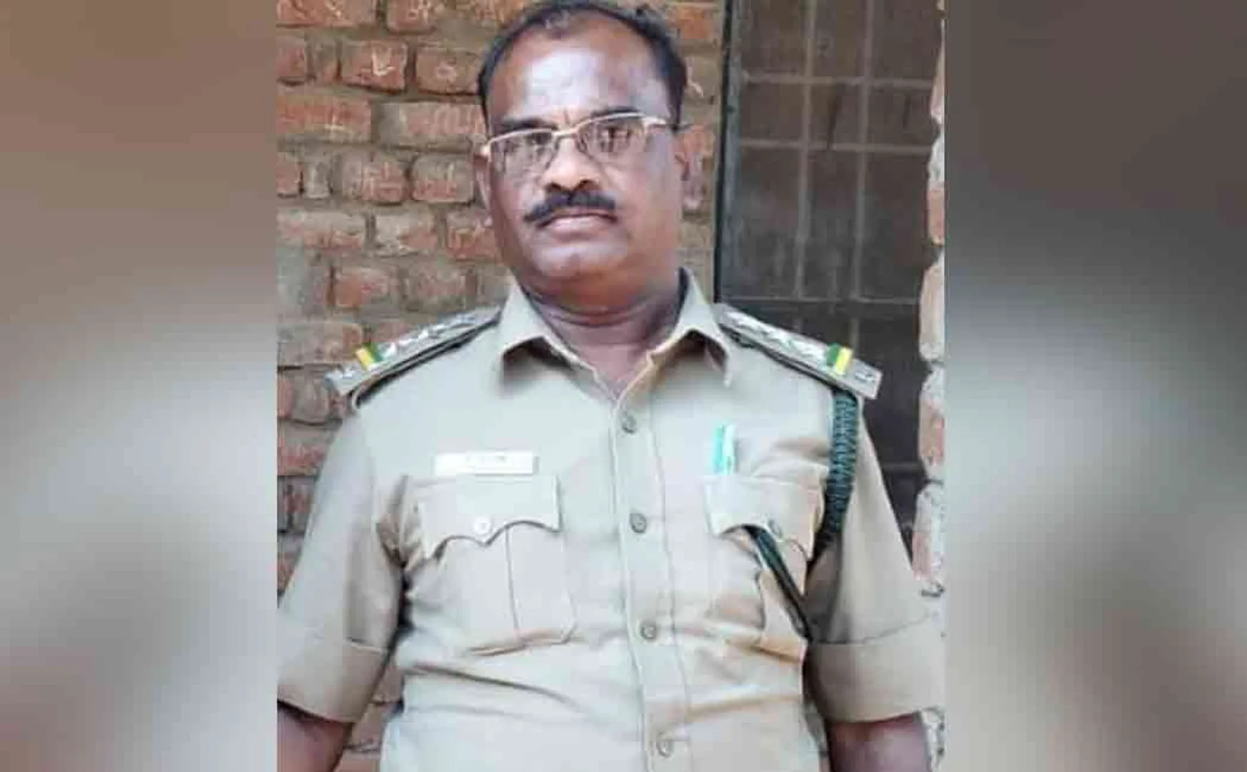 Forest officials taking bribes from loggers
