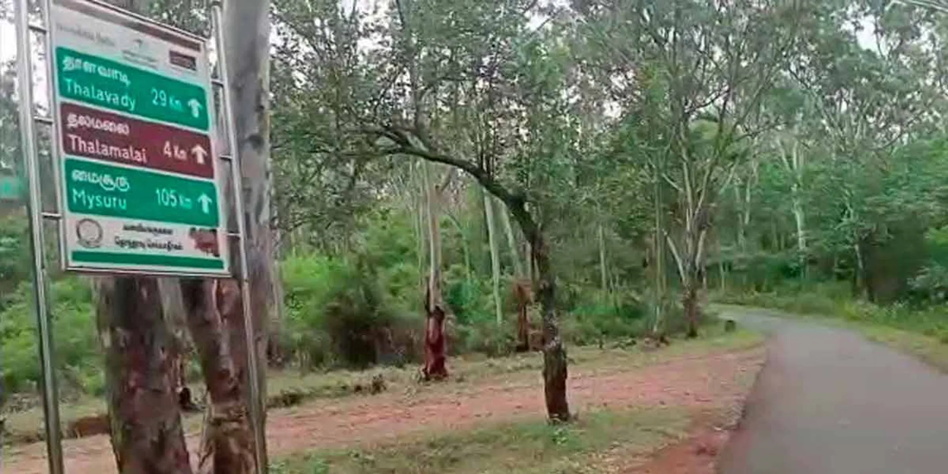 Human bones in a sack lying on the edge of the forest; Police investigation