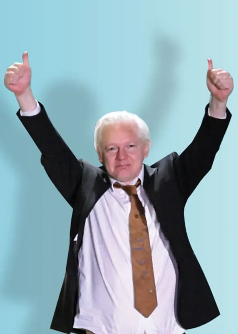 WikiLeaks Assange got released