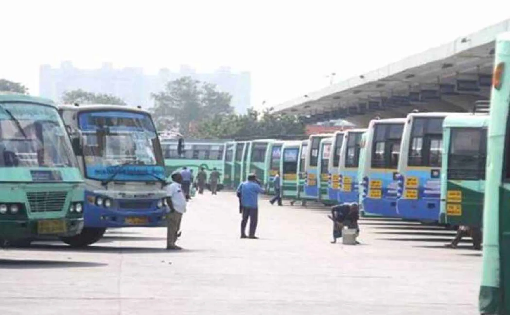 Special buses run for the convenience of passengers