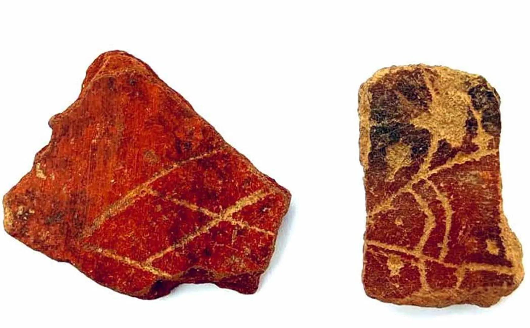 Discovery of pots with fish motifs on the bottom!