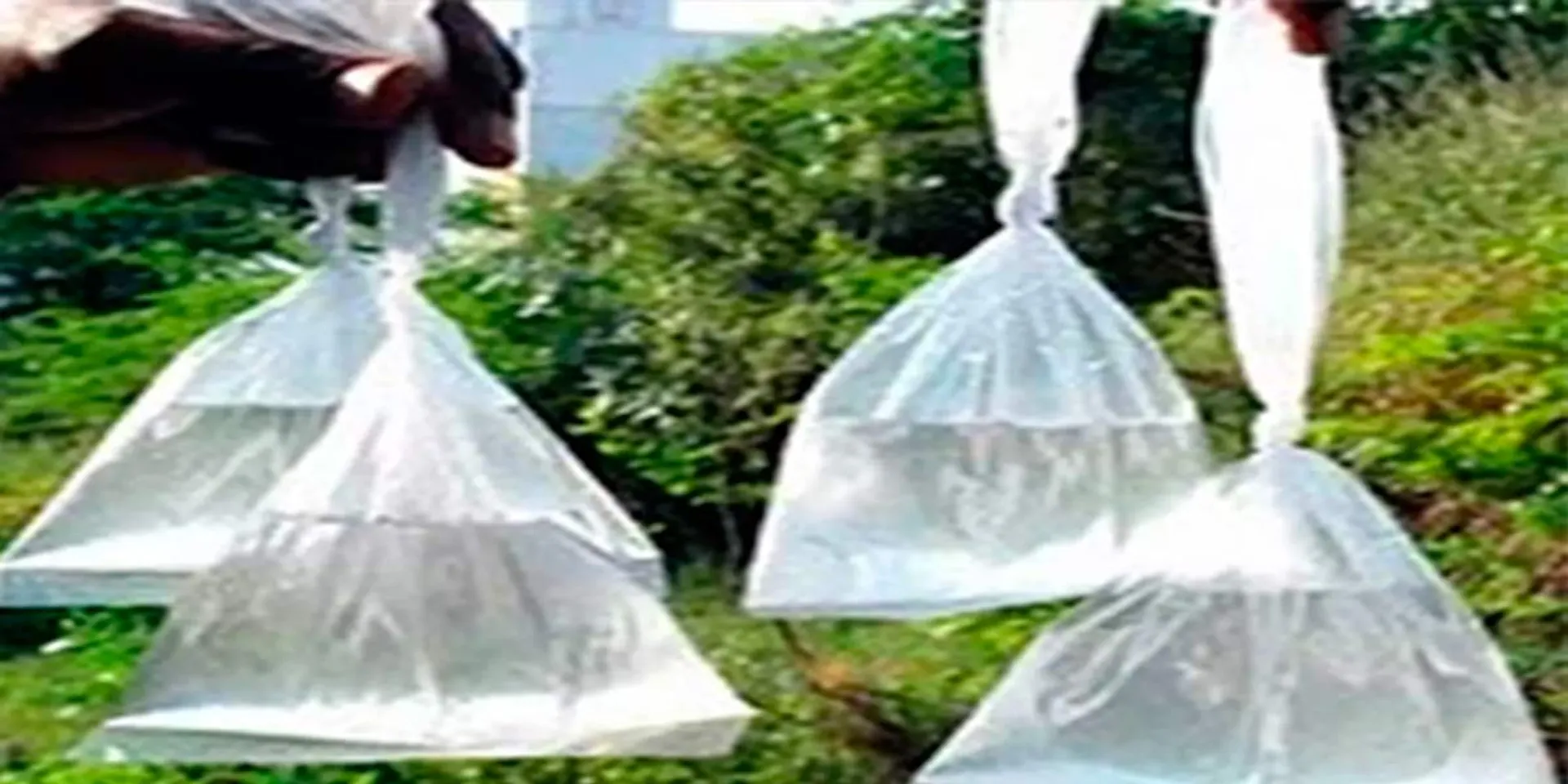  11 people admitted to hospital after drinking liquor in Vikkiravandi